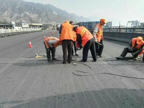 石嘴山道路桥梁病害治理